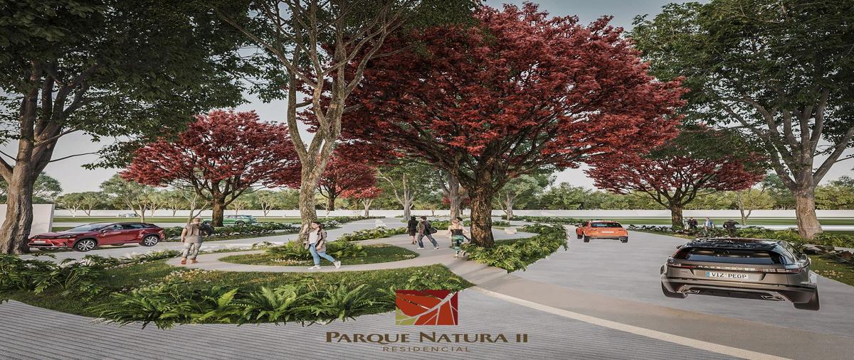 Foto de terreno habitacional en venta en parque natura ii , cholul, mérida, yucatán, 0 No. 04