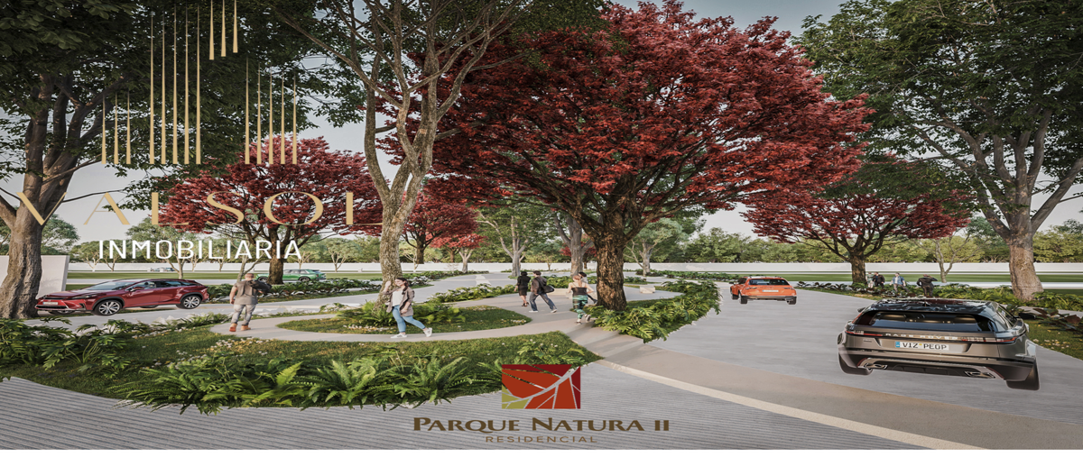 Foto de terreno habitacional en venta en parque natura ll , cholul, mérida, yucatán, 0 No. 05