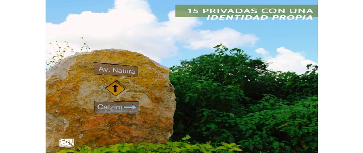 Foto de terreno habitacional en venta en  , parque natura, mérida, yucatán, 0 No. 05