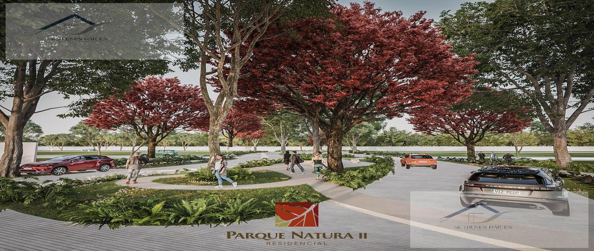 Foto de terreno habitacional en , parque natura, mérida, yucatán, 0 foto 04 Foto de terreno habitacional en venta en , parque natura, mérida, yucatán, 0 No. 04