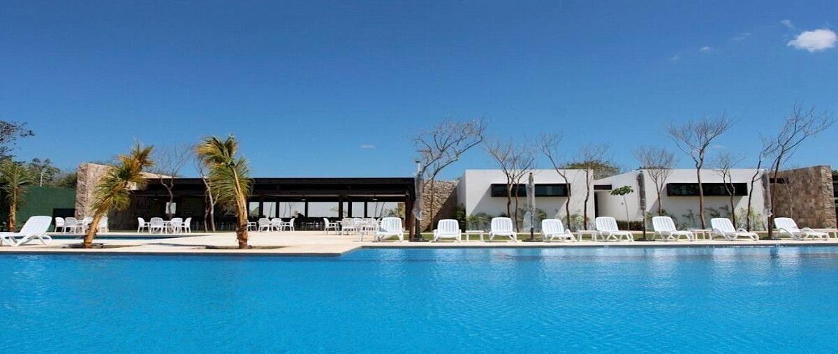 Foto de terreno habitacional en , parque natura, mérida, yucatán, 29697782 foto 03 Foto de terreno habitacional en venta en , parque natura, mérida, yucatán, 29697782 No. 03