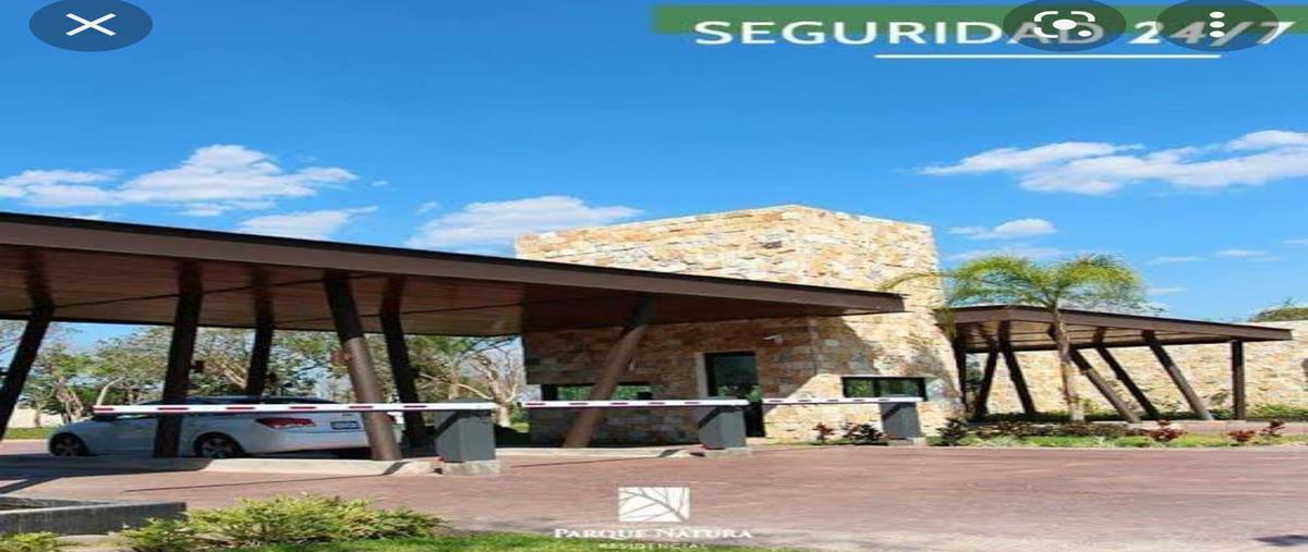 Foto de terreno habitacional en venta en  , parque natura, mérida, yucatán, 30147238 No. 05