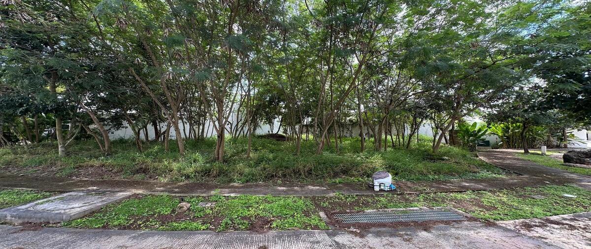 Foto de terreno habitacional en venta en  , parque natura, mérida, yucatán, 30526462 No. 05