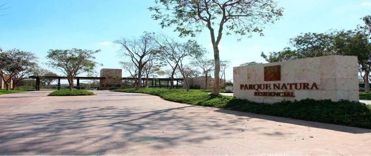 Foto de terreno habitacional en venta en  , parque natura, mérida, yucatán, 30710250 No. 04