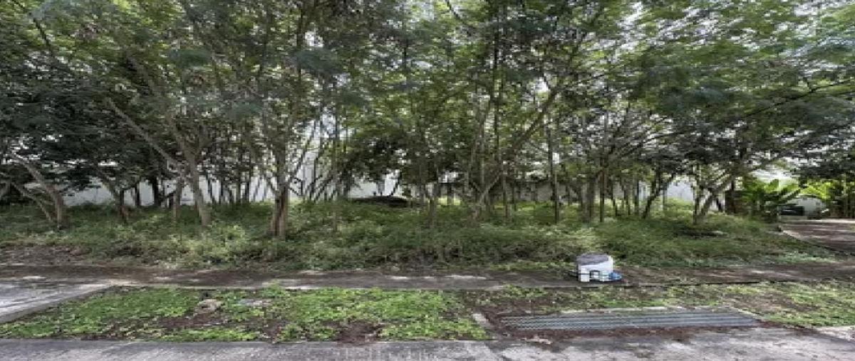 Foto de terreno habitacional en , parque natura, mérida, yucatán, 30710256 foto 03 Foto de terreno habitacional en venta en , parque natura, mérida, yucatán, 30710256 No. 03
