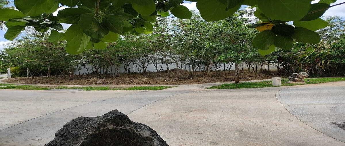 Foto de terreno habitacional en venta en . , parque natura, mérida, yucatán, 0 No. 04