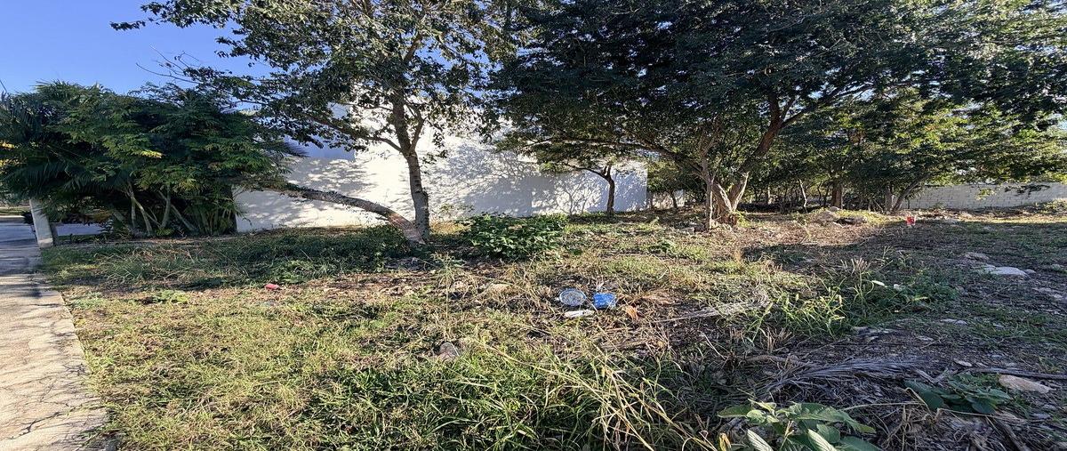 Foto de terreno habitacional en venta en  , parque natura, mérida, yucatán, 0 No. 03