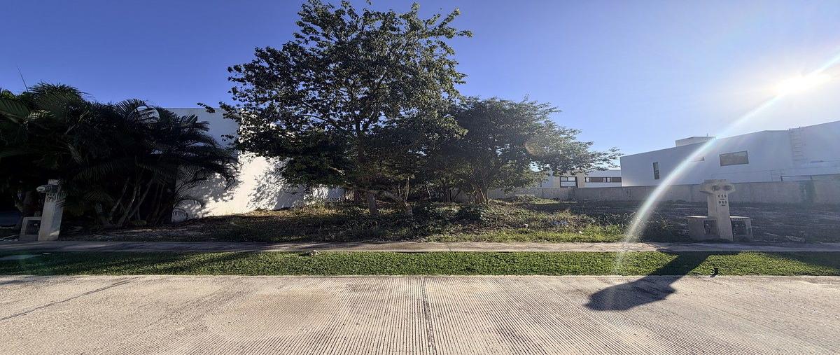 Foto de terreno habitacional en venta en  , parque natura, mérida, yucatán, 0 No. 04