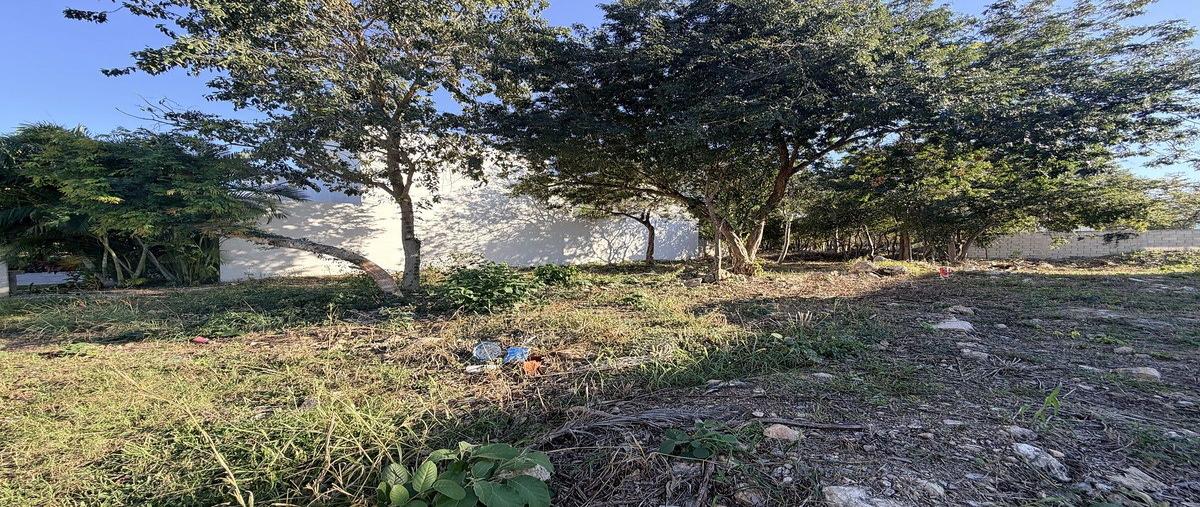 Foto de terreno habitacional en venta en  , parque natura, mérida, yucatán, 0 No. 05