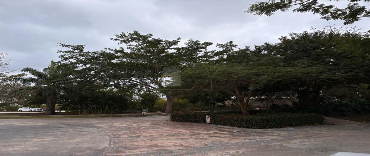 Foto de terreno habitacional en venta en parque natura residencial 100, parque natura, mérida, yucatán, 0 No. 04