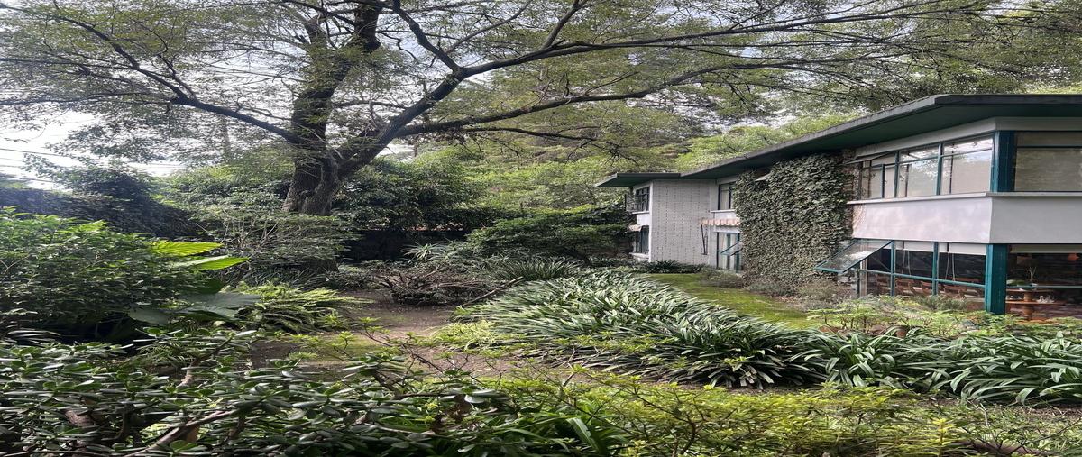 Foto de terreno habitacional en parque rosas , san angel, álvaro obregón, df / cdmx, 30159813 foto 04 Foto de terreno habitacional en venta en parque rosas , san angel, álvaro obregón, df / cdmx, 30159813 No. 04