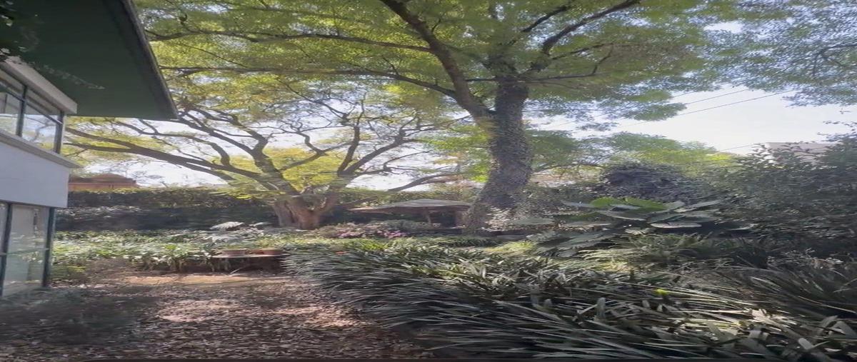 Foto de terreno habitacional en parque rosas , san angel, álvaro obregón, df / cdmx, 30159813 foto 05 Foto de terreno habitacional en venta en parque rosas , san angel, álvaro obregón, df / cdmx, 30159813 No. 05