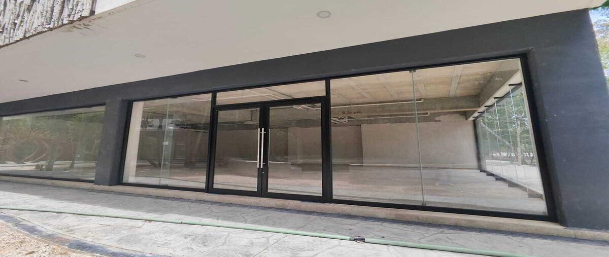 Foto de local en parque zama , aldea zama, tulum, quintana roo, 0 foto 05 Foto de local en renta en parque zama , aldea zama, tulum, quintana roo, 0 No. 05