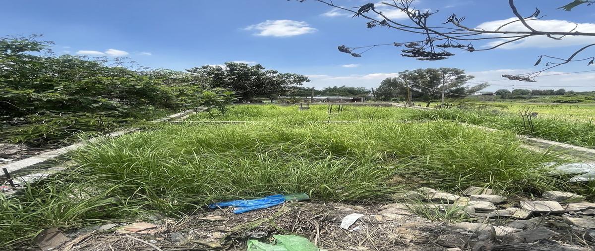Foto de terreno habitacional en venta en  , parques de tesistán, zapopan, jalisco, 0 No. 03