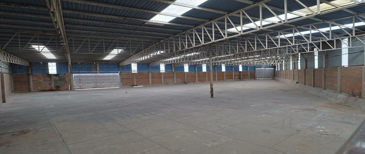 Foto de bodega en renta en  , parques del castillo, el salto, jalisco, 0 No. 03