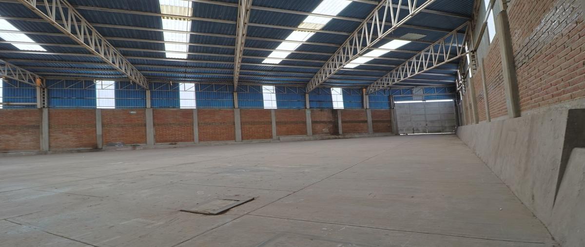Foto de bodega en renta en  , parques del castillo, el salto, jalisco, 0 No. 04