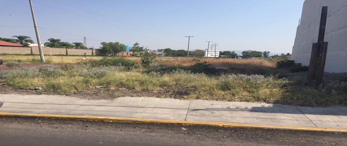 Foto de terreno habitacional en renta en parral , quintas campestre, salamanca, guanajuato, 3851202 No. 03