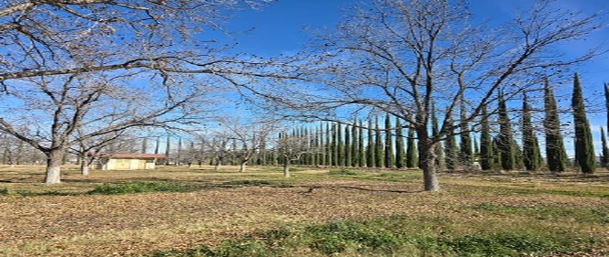Foto de rancho en parras de la fuente , parras, parras, coahuila de zaragoza, 0 foto 05 Foto de rancho en venta en parras de la fuente , parras, parras, coahuila de zaragoza, 0 No. 05