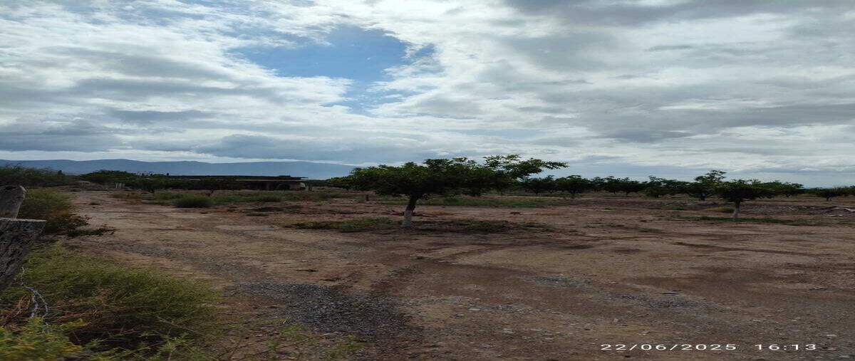 Foto de rancho en venta en  , parras, parras, coahuila de zaragoza, 30097927 No. 05