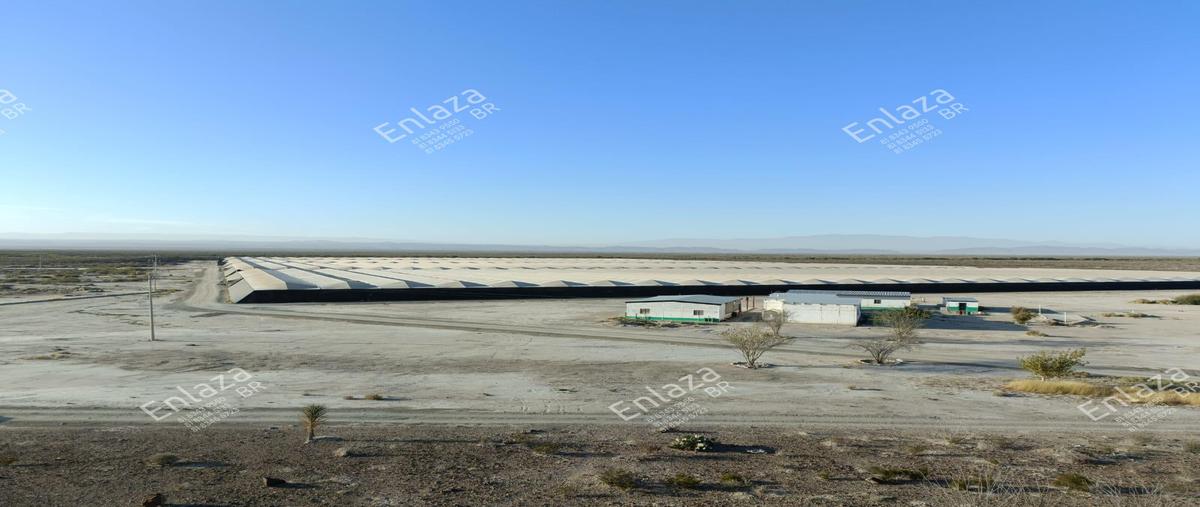 Foto de terreno habitacional en , parras, parras, coahuila de zaragoza, 0 foto 02 Foto de terreno habitacional en venta en , parras, parras, coahuila de zaragoza, 0 No. 02