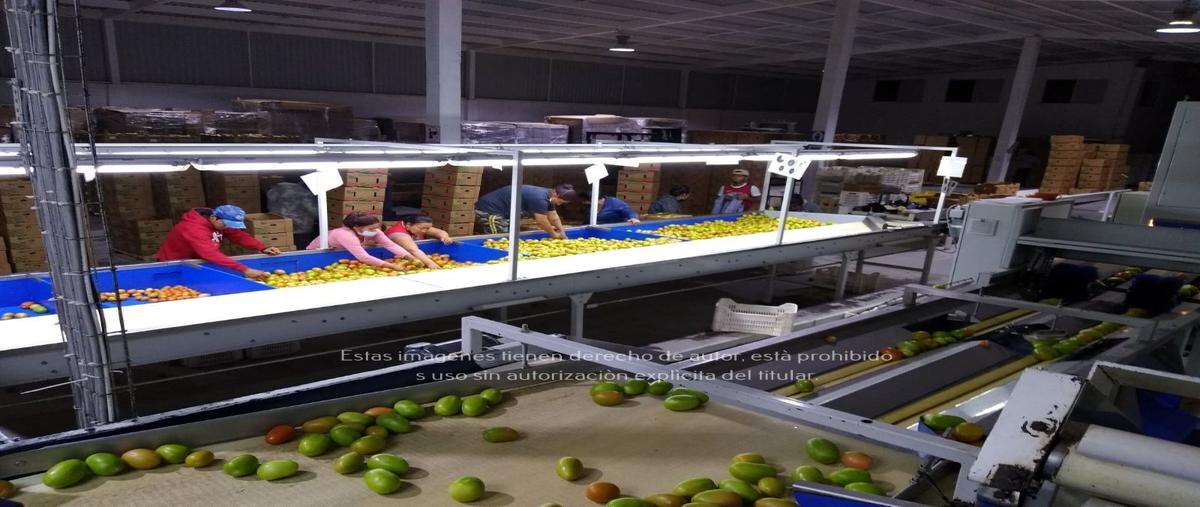 Foto de rancho en venta en parras , parras, parras, coahuila de zaragoza, 29042524 No. 04