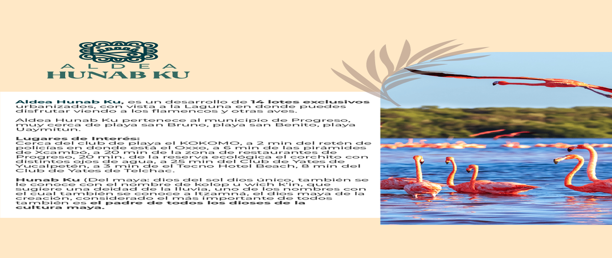 Foto de terreno habitacional en venta en pasando el reten fijo de telchac , san diego, dzemul, yucatán, 29884308 No. 03