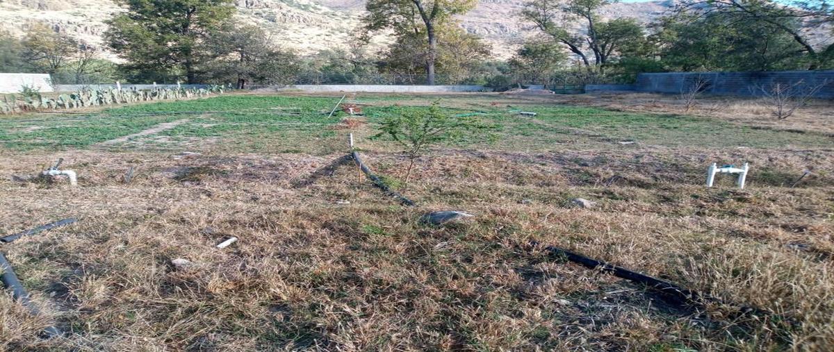 Foto de terreno habitacional en venta en pascual manzana hernández segura , la trinidad, santa maría del río, san luis potosí, 0 No. 03