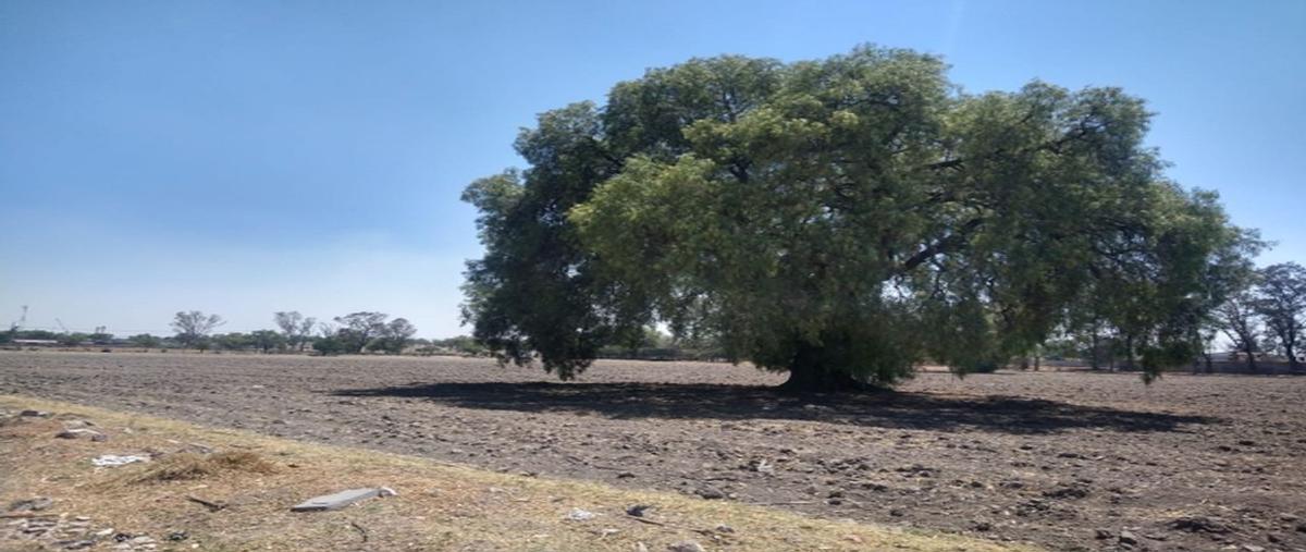 Foto de terreno comercial en venta en paseo bicentenario , buenavista, zumpango, méxico, 25424432 No. 04