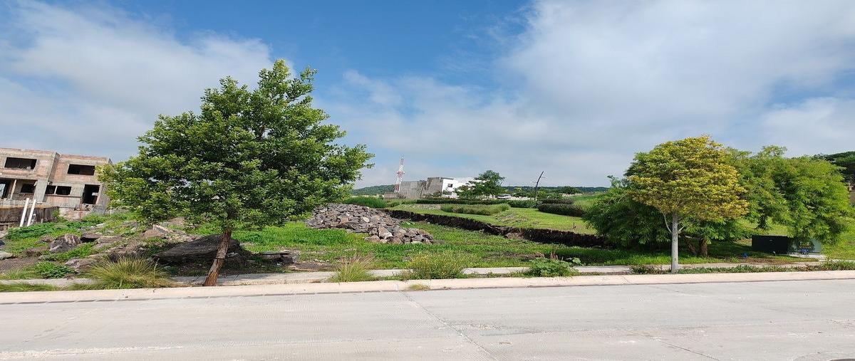 Foto de terreno habitacional en venta en paseo centenario del ejército mexicano , el rosario, el marqués, querétaro, 0 No. 07