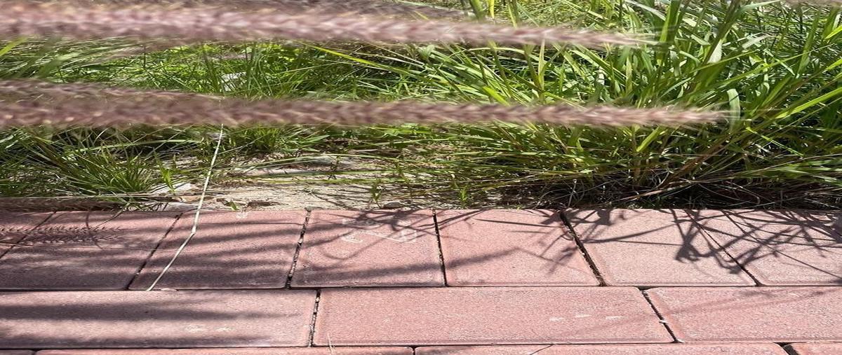 Foto de terreno habitacional en paseo corregidora , la purísima de la cueva, corregidora, querétaro, 0 foto 03 Foto de terreno habitacional en venta en paseo corregidora , la purísima de la cueva, corregidora, querétaro, 0 No. 03