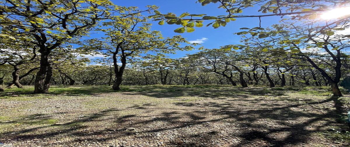 Foto de terreno habitacional en paseo de la alpaca , bugambilias country, zapopan, jalisco, 0 foto 01 Foto de terreno habitacional en venta en paseo de la alpaca , bugambilias country, zapopan, jalisco, 0 No. 01
