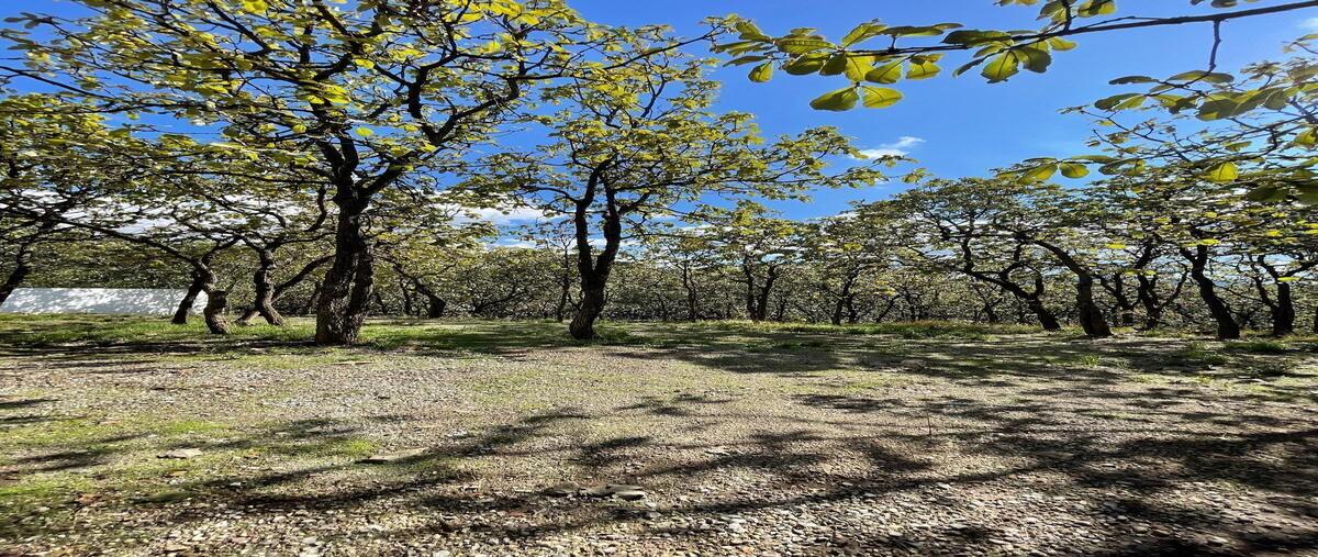 Foto de terreno habitacional en paseo de la alpaca , bugambilias country, zapopan, jalisco, 0 foto 03 Foto de terreno habitacional en venta en paseo de la alpaca , bugambilias country, zapopan, jalisco, 0 No. 03
