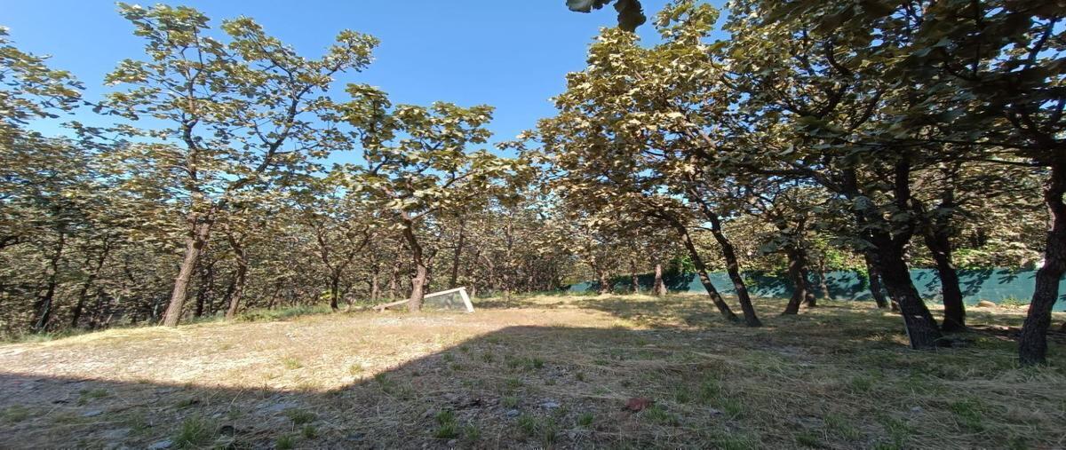 Foto de terreno habitacional en paseo de la alpaca , bugambilias country, zapopan, jalisco, 0 foto 04 Foto de terreno habitacional en venta en paseo de la alpaca , bugambilias country, zapopan, jalisco, 0 No. 04