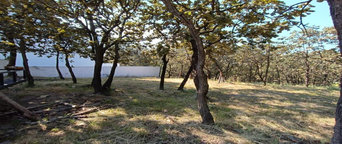 Foto de terreno habitacional en paseo de la alpaca , bugambilias country, zapopan, jalisco, 0 foto 05 Foto de terreno habitacional en venta en paseo de la alpaca , bugambilias country, zapopan, jalisco, 0 No. 05