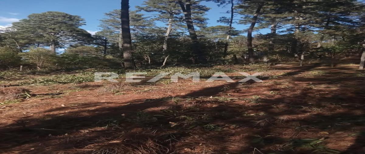 Foto de terreno habitacional en venta en paseo de la cañada , tapalpa, tapalpa, jalisco, 30127195 No. 03