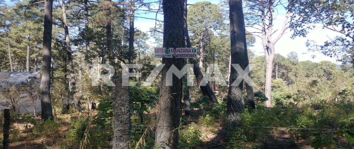 Foto de terreno habitacional en venta en paseo de la cañada , tapalpa, tapalpa, jalisco, 30127195 No. 04