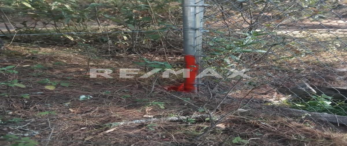 Foto de terreno habitacional en venta en paseo de la cañada , tapalpa, tapalpa, jalisco, 30127195 No. 05