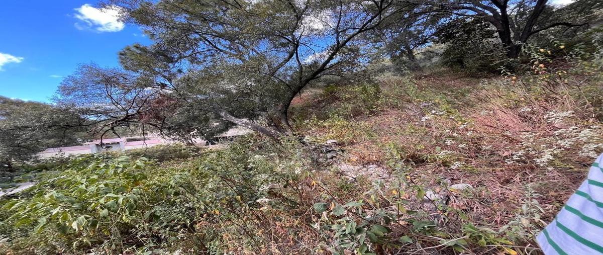 Foto de terreno habitacional en venta en paseo de la casuarina , pinar de la venta, zapopan, jalisco, 28790379 No. 03