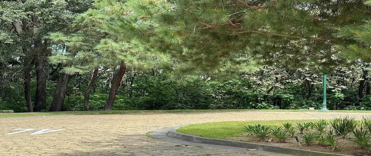 Foto de terreno habitacional en venta en paseo de la frescura , cielo contry club, tlajomulco de zúñiga, jalisco, 0 No. 04