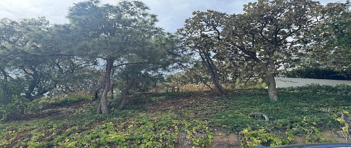 Foto de terreno habitacional en paseo de la frescura , cielo contry club, tlajomulco de zúñiga, jalisco, 0 foto 13 Foto de terreno habitacional en venta en paseo de la frescura , cielo contry club, tlajomulco de zúñiga, jalisco, 0 No. 13