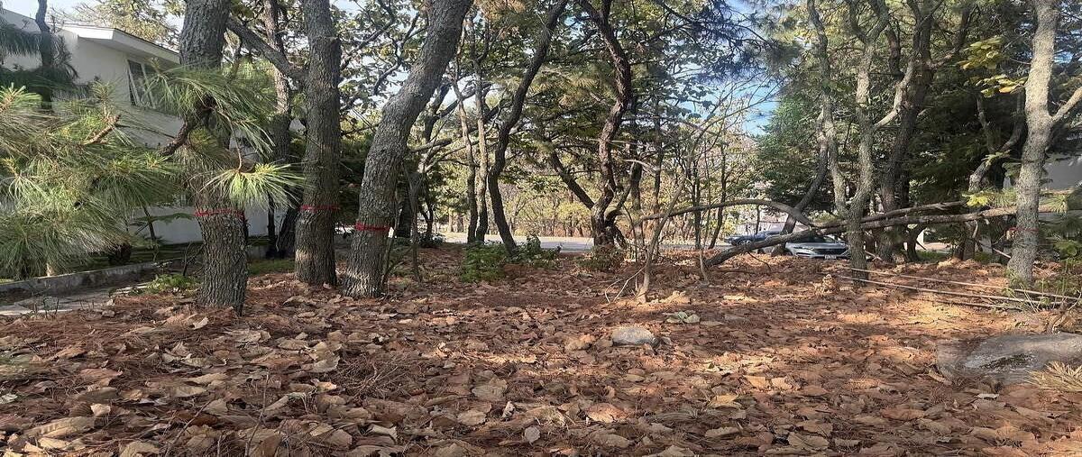 Foto de terreno habitacional en venta en paseo de la frescura , cielo contry club, tlajomulco de zúñiga, jalisco, 0 No. 07