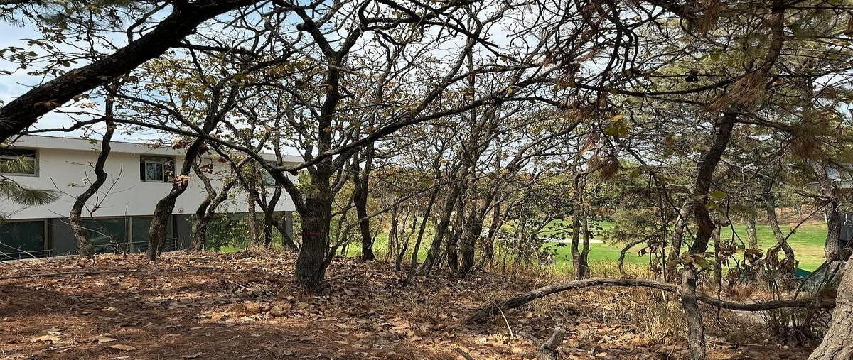 Foto de terreno habitacional en venta en paseo de la frescura , cielo contry club, tlajomulco de zúñiga, jalisco, 0 No. 08