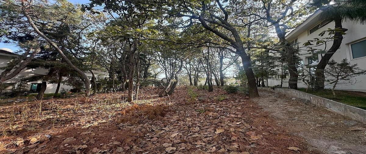 Foto de terreno habitacional en venta en paseo de la frescura , cielo contry club, tlajomulco de zúñiga, jalisco, 0 No. 04