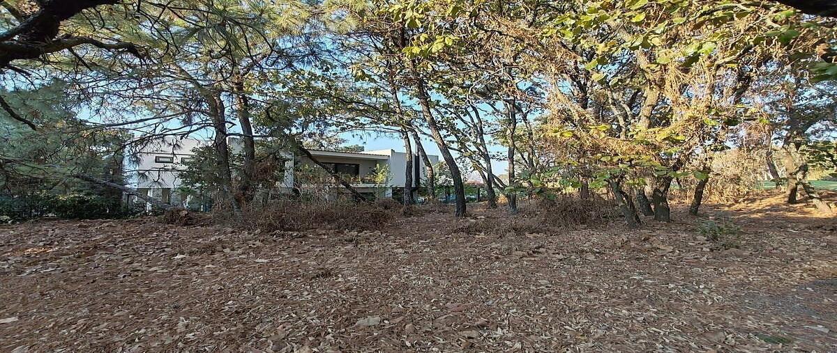 Foto de terreno habitacional en venta en paseo de la frescura , cielo contry club, tlajomulco de zúñiga, jalisco, 0 No. 07