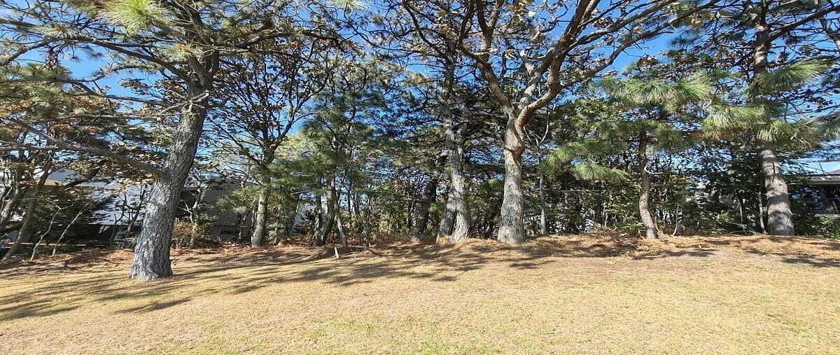 Foto de terreno habitacional en venta en paseo de la frescura , cielo contry club, tlajomulco de zúñiga, jalisco, 0 No. 04