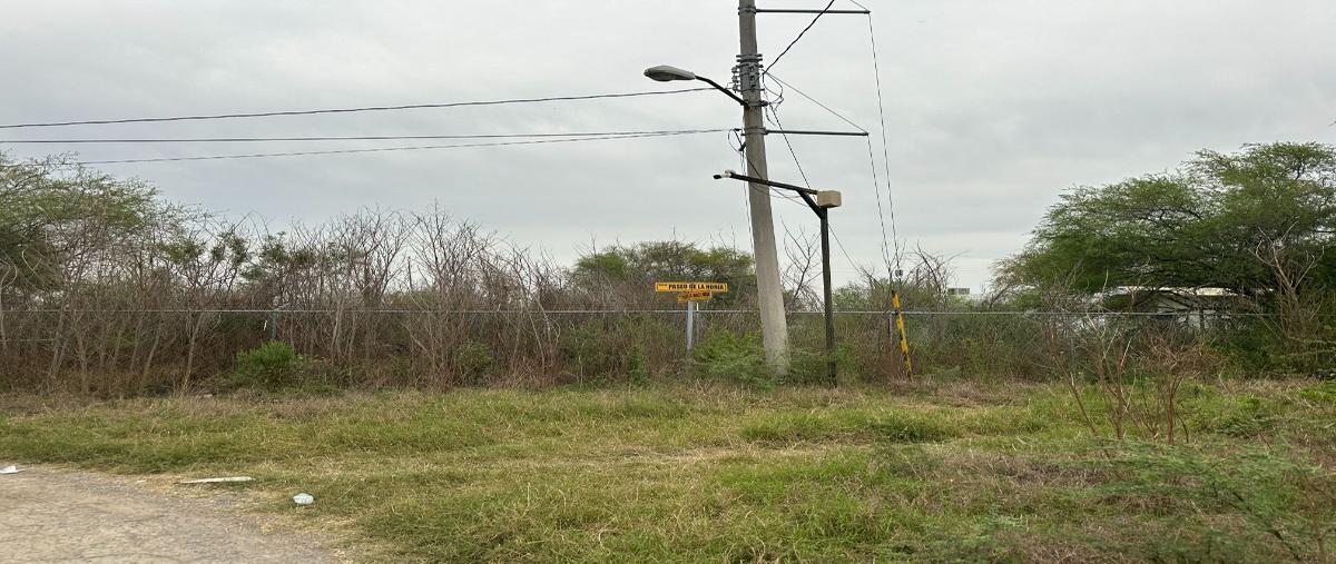 Foto de terreno habitacional en venta en paseo de la noria , palmitos (hacienda palmitos), cadereyta jiménez, nuevo león, 27827056 No. 04