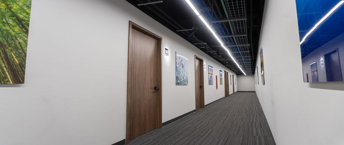 Foto de oficina en renta en paseo de la opera , lomas de angelópolis ii, san andrés cholula, puebla, 29904137 No. 05