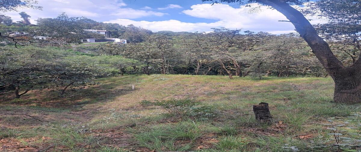 Foto de terreno habitacional en venta en paseo de la parota , pinar de la venta, zapopan, jalisco, 0 No. 03