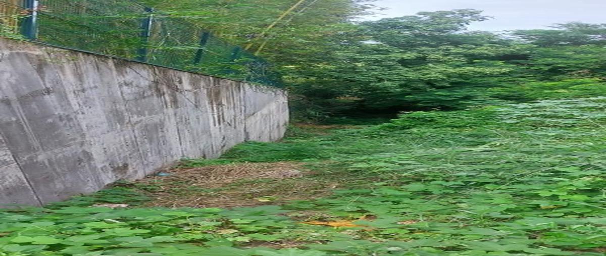 Foto de terreno habitacional en venta en paseo de la roca , ixtapa, zihuatanejo de azueta, guerrero, 0 No. 04