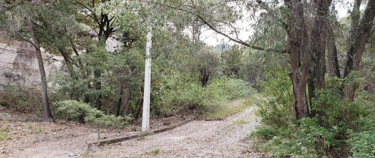 Foto de terreno habitacional en venta en paseo de la rosa morada , pinar de la venta, zapopan, jalisco, 30398409 No. 04